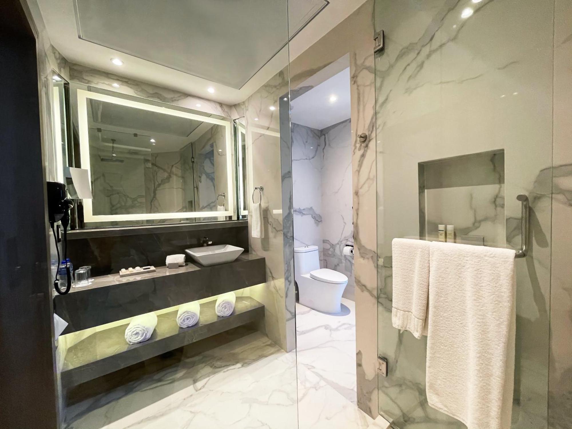 Hotel Safi Royal Luxury Metropolitan San Pedro Garza Garcia Zewnętrze zdjęcie